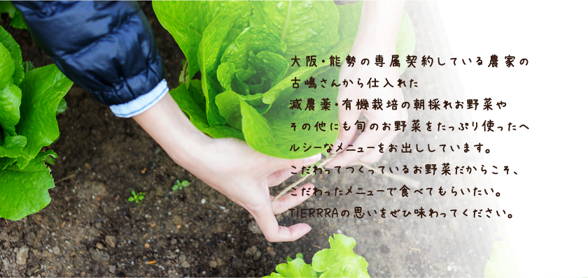 大阪・能勢の専属契約している農家の古嶋さんから仕入れた減農薬・有機栽培の朝採れお野菜やその他にも旬のお野菜をたっぷり使ったヘルシーなメニューをお出ししています。